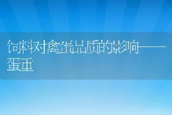 饲料对禽蛋品质的影响——蛋重