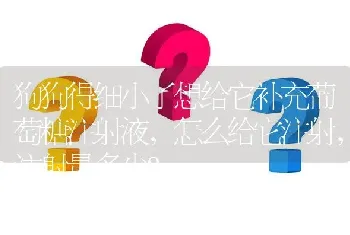 狗狗得细小了想给它补充葡萄糖注射液，怎么给它注射，注射量多少？