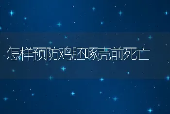 怎样预防鸡胚啄壳前死亡