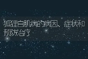 狐狸白肌病的病因、症状和预防治疗