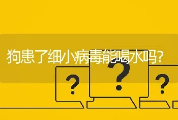 狗患了细小病毒能喝水吗？