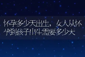 怀孕多少天出生，女人从怀孕到孩子出生需要多少天