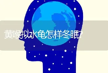 黄喉拟水龟怎样冬眠？