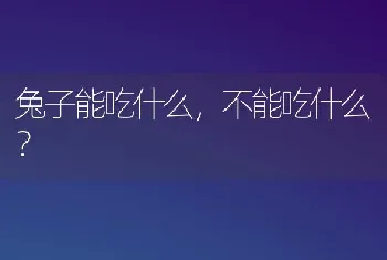 兔子能吃什么，不能吃什么？