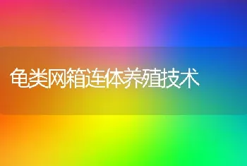 龟类网箱连体养殖技术