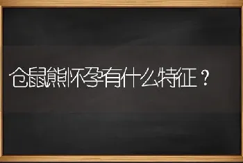 仓鼠熊怀孕有什么特征？