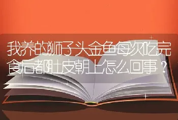 我养的狮子头金鱼每次吃完食后都肚皮朝上怎么回事？