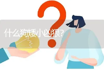 什么狗矮小凶狠？