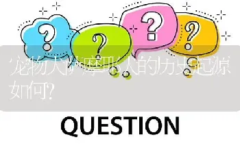 宠物犬萨摩耶犬的历史起源如何？