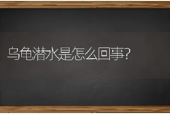 请问地图龟好养吗?地图龟怎么养？