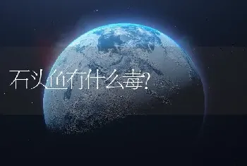 石头鱼有什么毒？