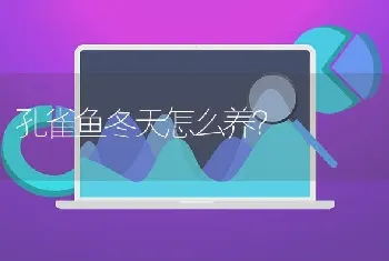 孔雀鱼冬天怎么养？