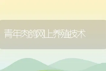 浅析监理对钢结构工程施工质量的控制园林土方工程技术