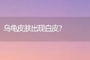 乌龟皮肤出现白皮？