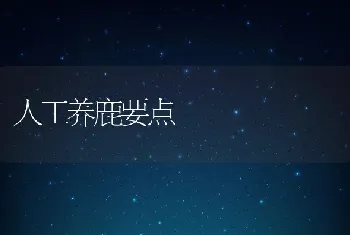 人工养鹿要点