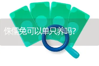 侏儒兔可以单只养吗？