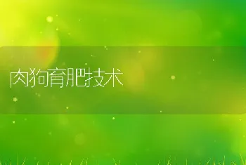 鲶鱼养殖增产的窍门