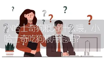 小哈士奇狗粮为什么喂，小哈士奇吃狗粮用泡吗？