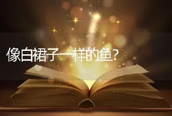 像白裙子一样的鱼？