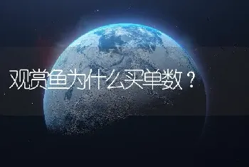 观赏鱼为什么买单数？