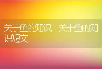 关于鱼的知识，关于鱼的知识短文