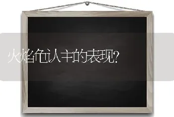 火焰龟认主的表现？