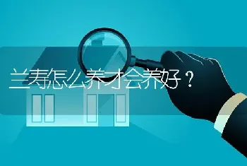 兰寿怎么养才会养好？