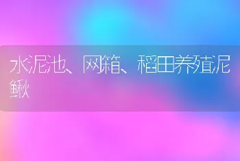 水泥池、网箱、稻田养殖泥鳅