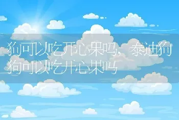 狗可以吃开心果吗，泰迪狗狗可以吃开心果吗