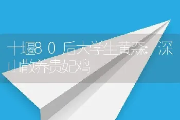 十堰80后大学生黄森:深山散养贵妃鸡