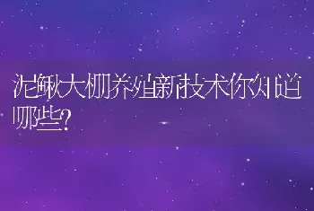 泥鳅大棚养殖新技术你知道哪些？