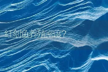 红剑鱼养殖密度？