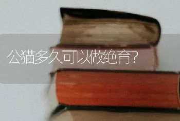 公猫多久可以做绝育？