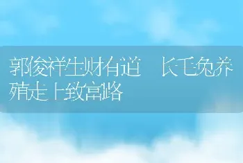 郭俊祥生财有道 长毛兔养殖走上致富路