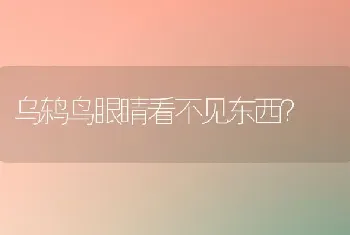 乌鸫鸟眼睛看不见东西？