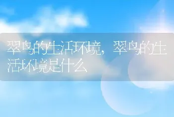 翠鸟的生活环境，翠鸟的生活环境是什么