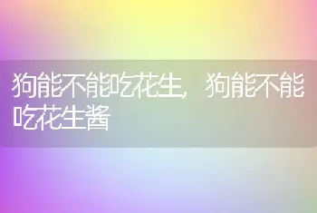 狗能不能吃花生，狗能不能吃花生酱