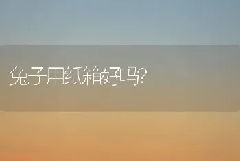 兔子用纸箱好吗？