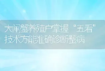 大闸蟹养殖户掌握“五看”技术方能准确诊断蟹病