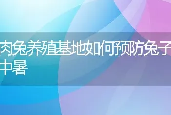 肉兔养殖基地如何预防兔子中暑