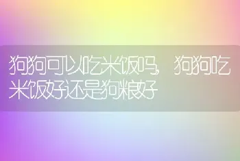 狗狗可以吃米饭吗，狗狗吃米饭好还是狗粮好