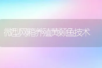 微型网箱养殖黄颡鱼技术