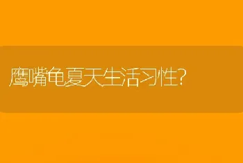 鹰嘴龟夏天生活习性？