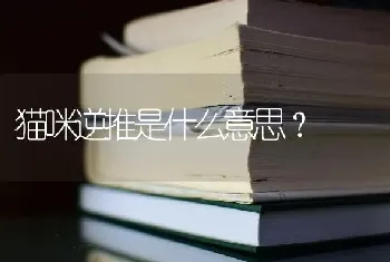 猫咪逆推是什么意思？