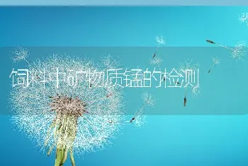 稚龟培育技术要点