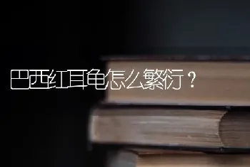 巴西红耳龟怎么繁衍？