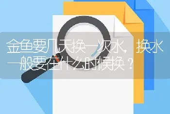 金鱼要几天换一次水，换水一般要在什么时候换？