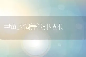 赤眼鳟人工养殖技术