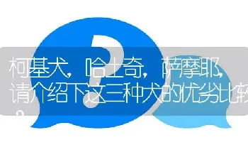 柯基犬，哈士奇，萨摩耶，请介绍下这三种犬的优劣比较？