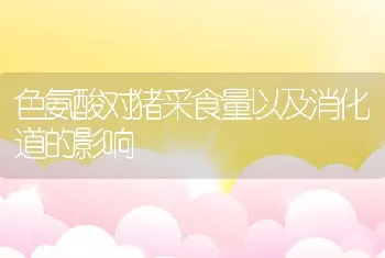 淡水鳖、龟锥体虫病的防治技术